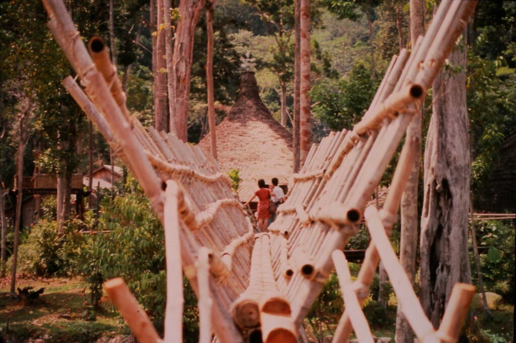 Head for Borneo