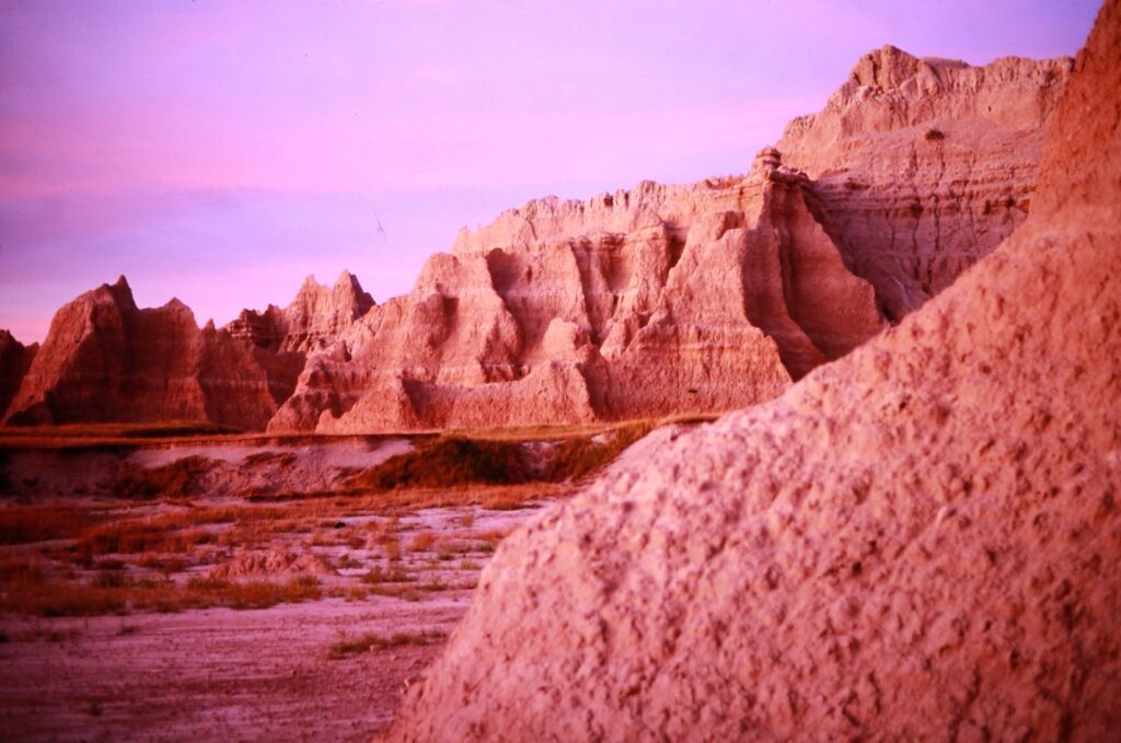 Bison and Badlands